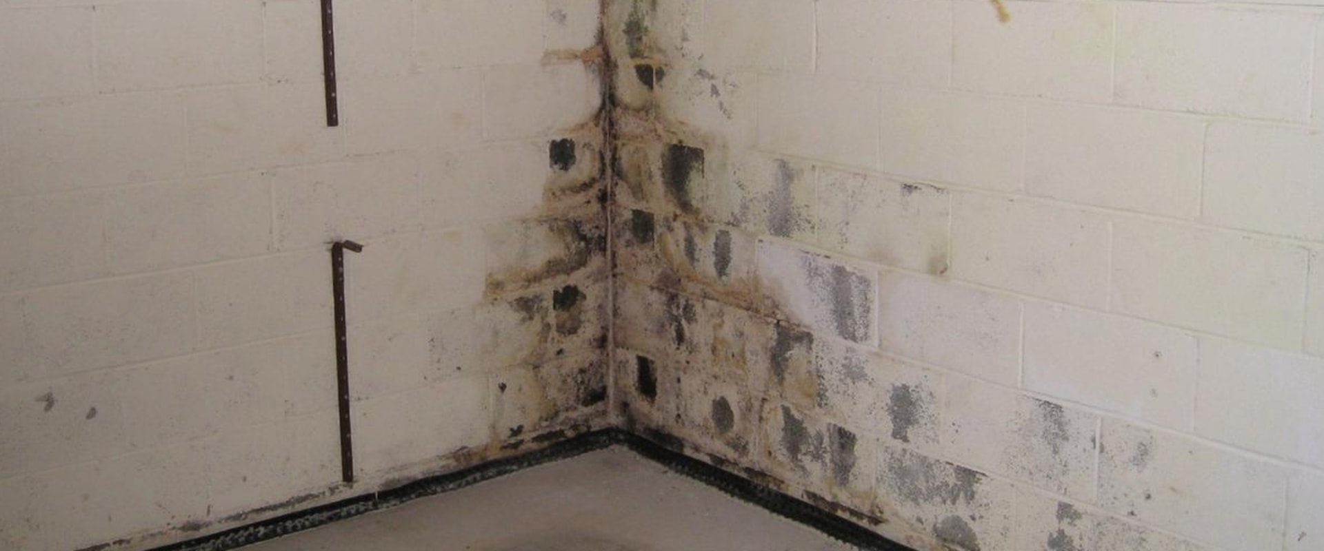 DIY Foundation Leak Repair Tips and Techniques