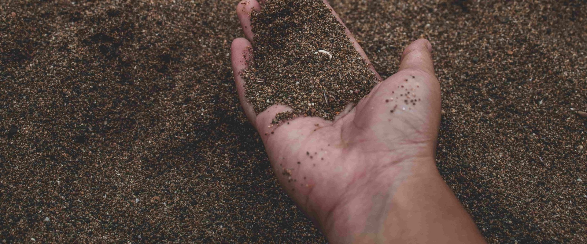 Foundation Damage & Silt Soil: What You Need to Know