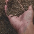 Foundation Damage & Silt Soil: What You Need to Know