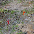 Understanding Inadequate Drainage and Foundation Damage