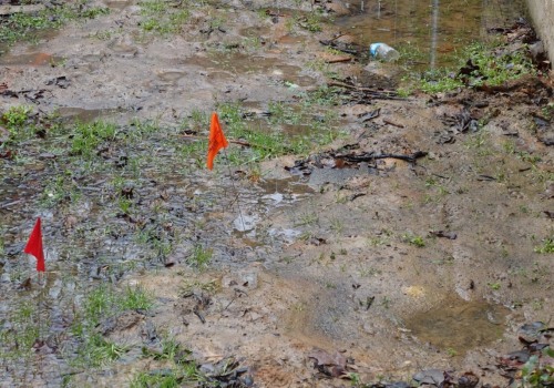 Understanding Inadequate Drainage and Foundation Damage